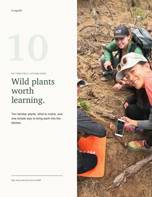 Cover of the forageSF guide: 10 Bay Area wild plants worth learning