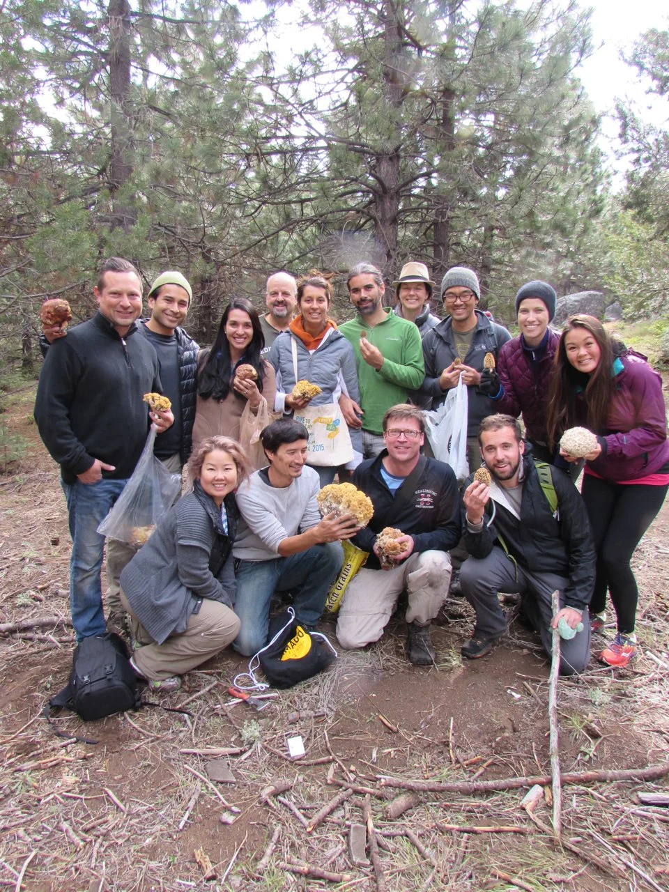 forageSF class group holding wild mushrooms in the forest
