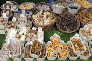 Mushroom products