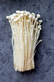 Flammulina Velutipes