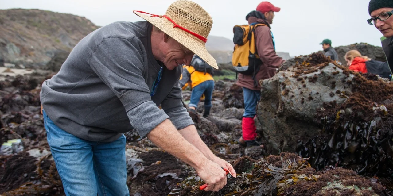 Foraging class
