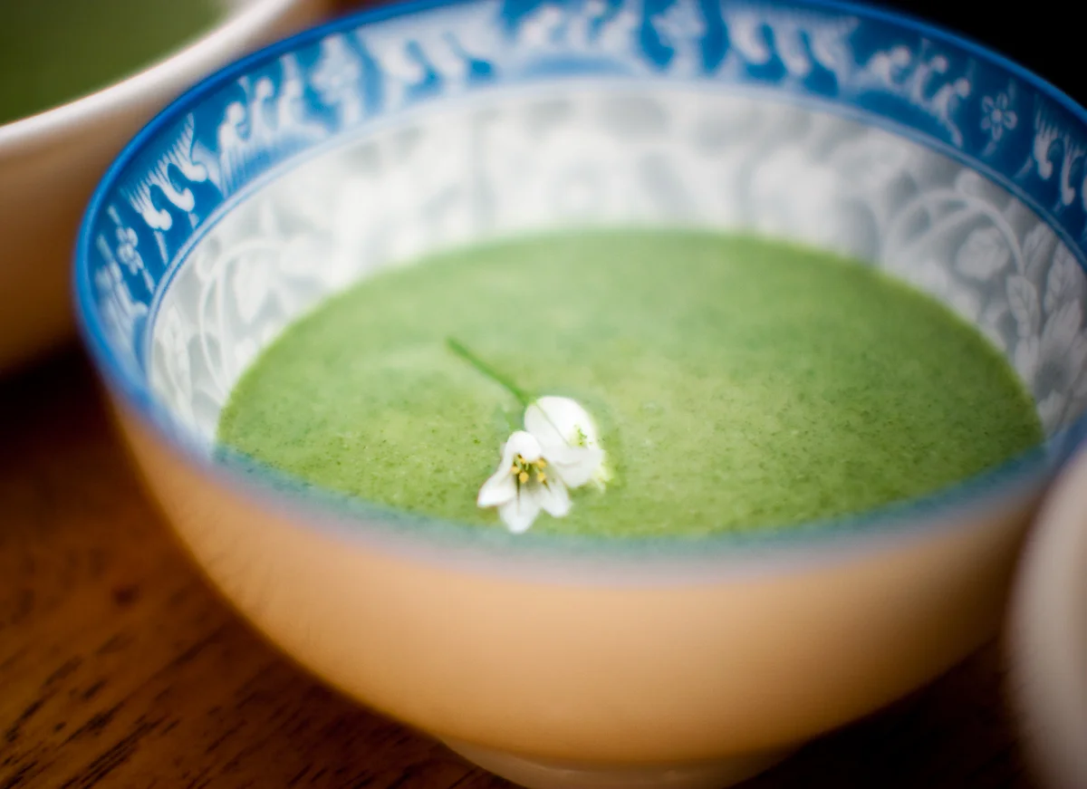 nettlesoup