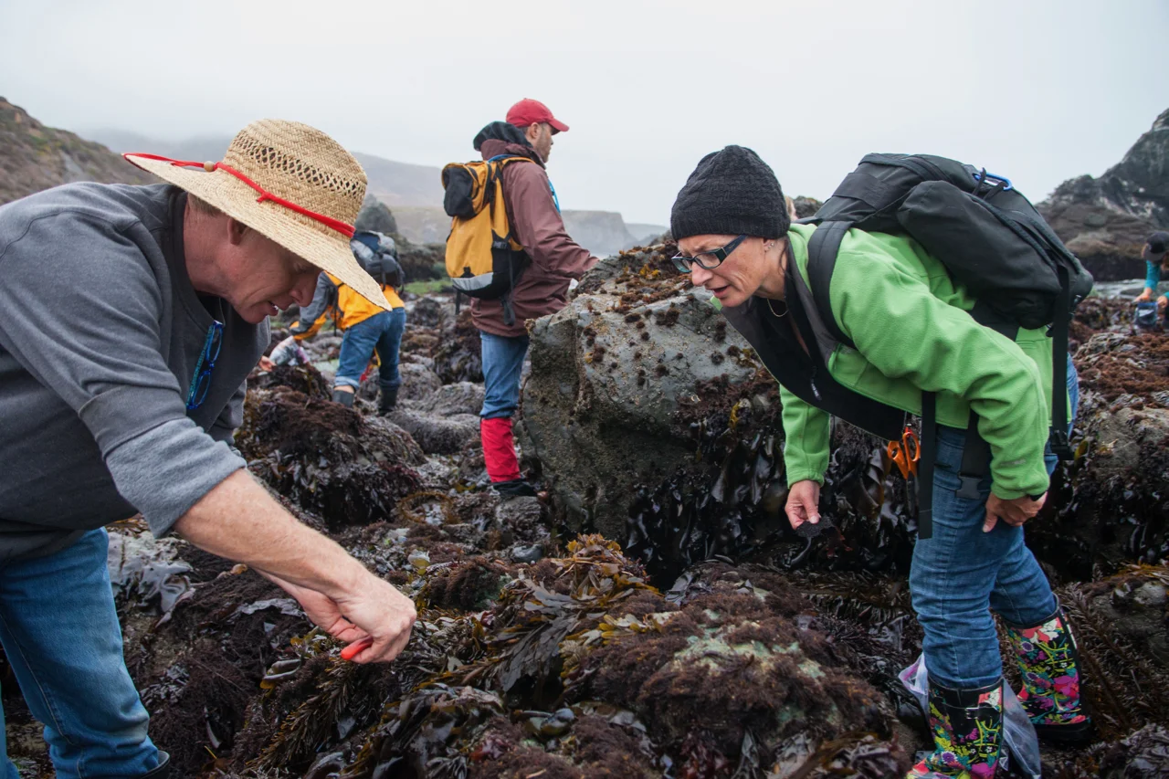 Group of people getting nori seaweed