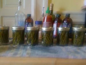 Sea Bean Pickles
