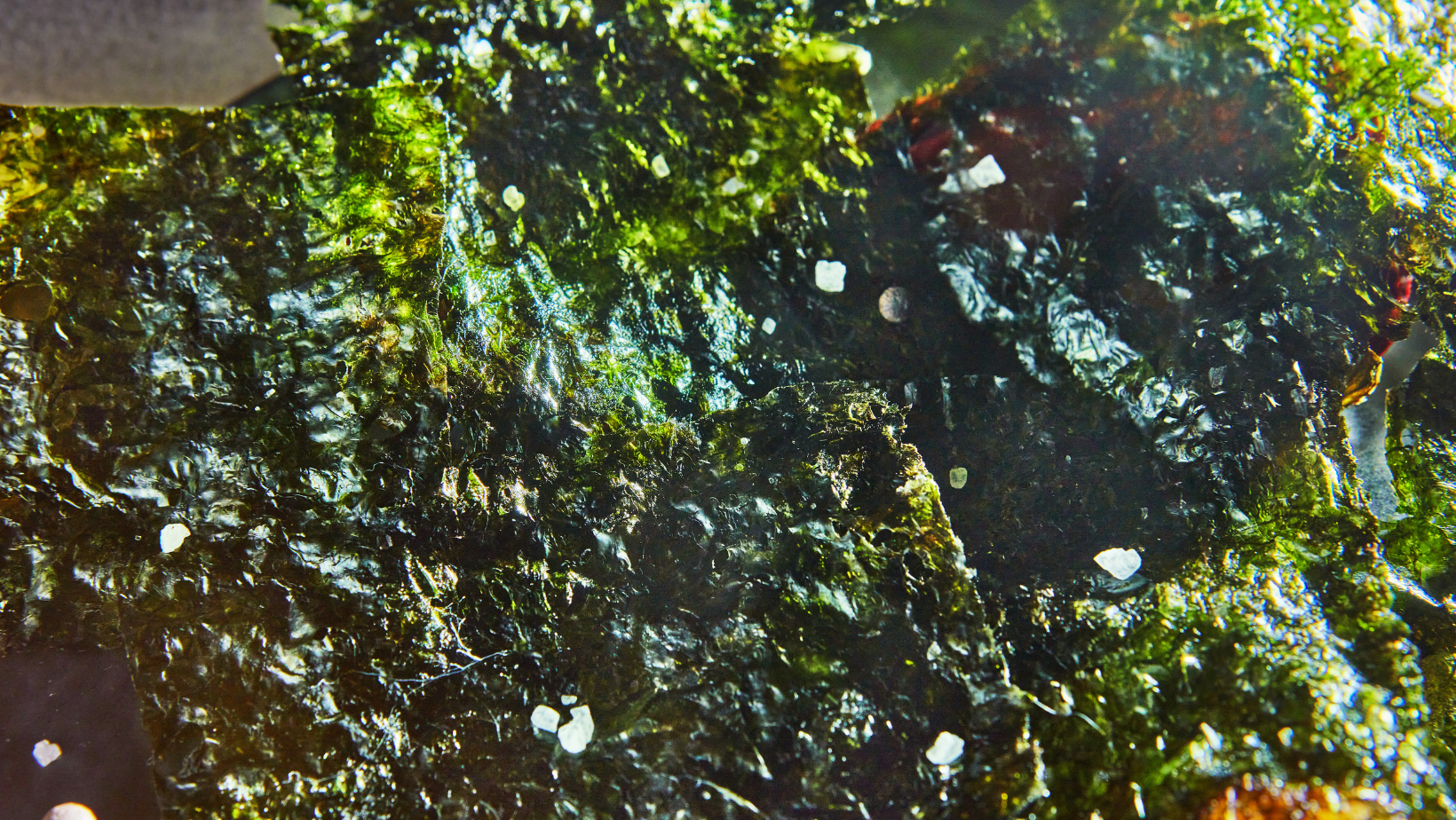 Nori Seaweed (Laver): The Intriguing Health Benefits of the World’s Most Popular Seaweed