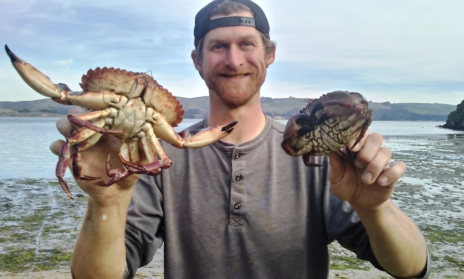 Coastal Crab, Clam, and Mussel private forageSF event