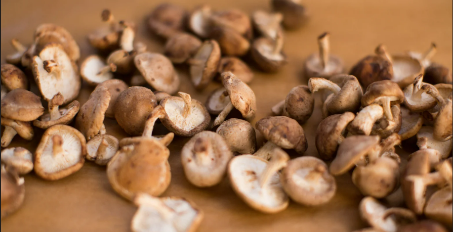 Baby Shiitakes