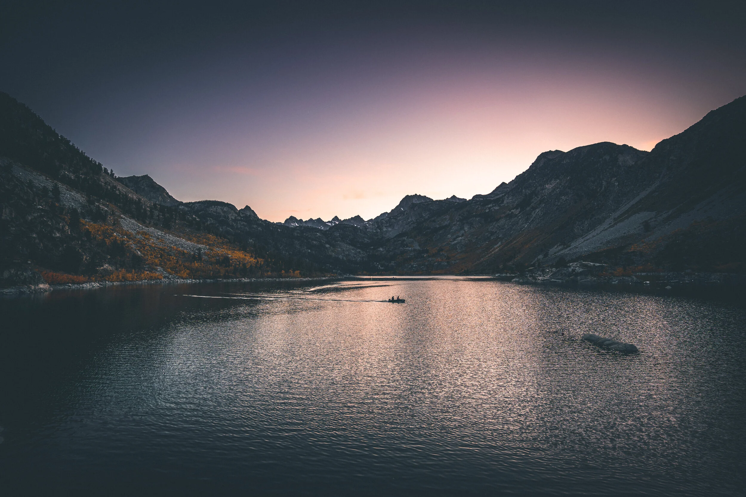 Forest and Lake