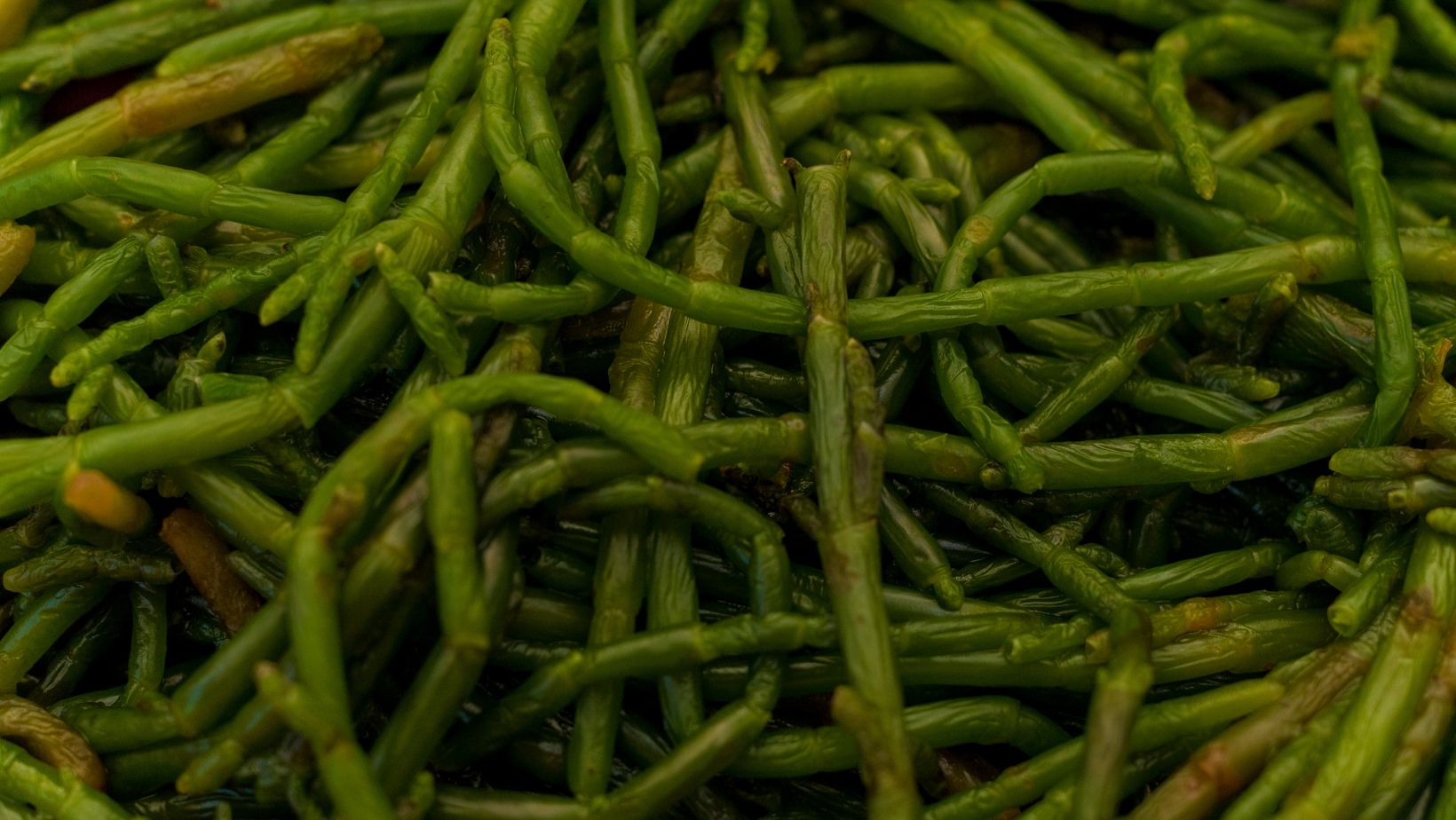 A seaside feast: Recipes and foraging tips for Sea Beans