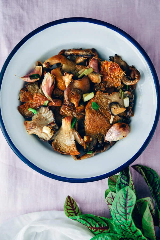 wild oyster mushroom recipe