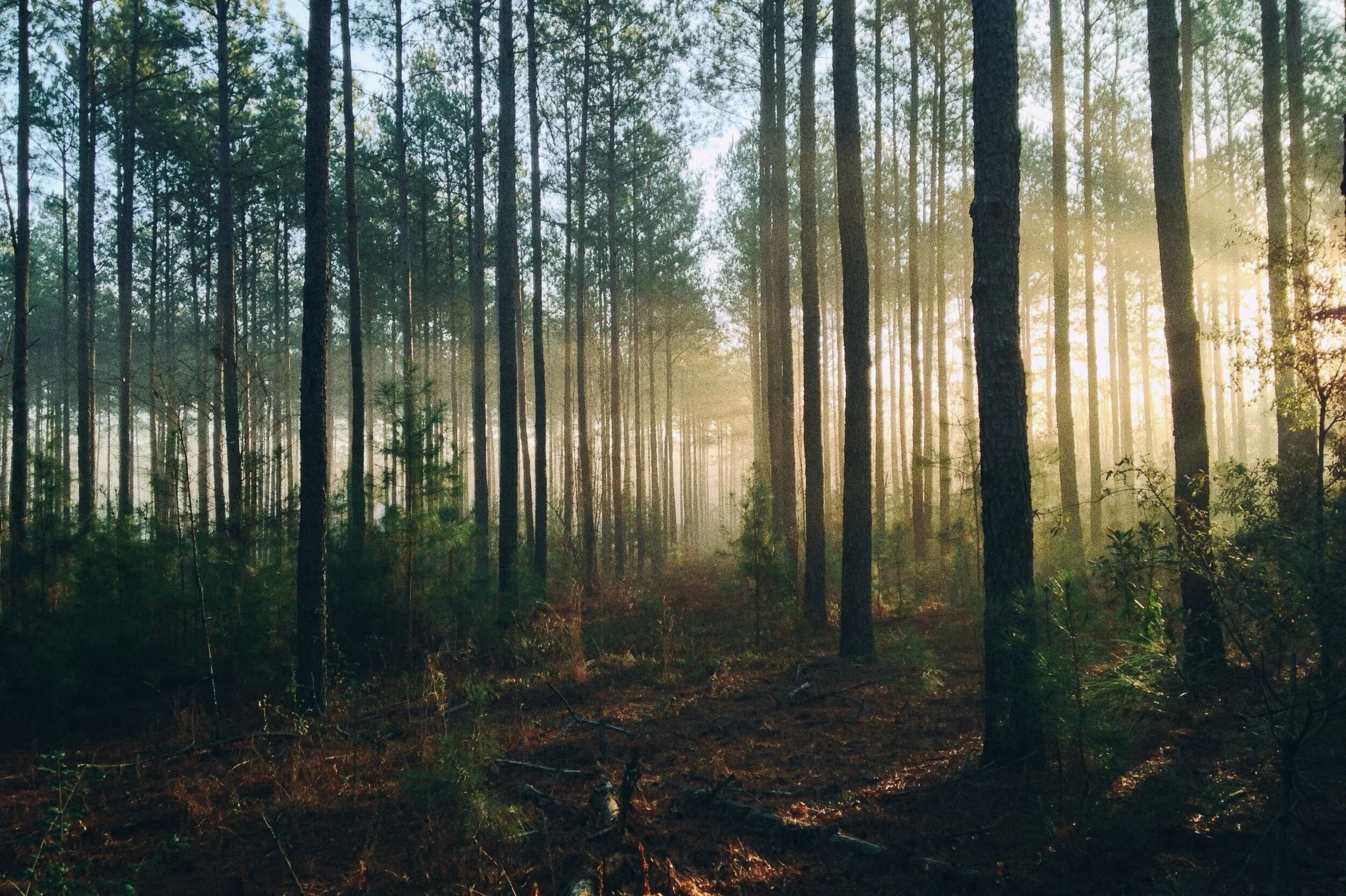 unsplash-image-MMJx78V7xS8.jpg