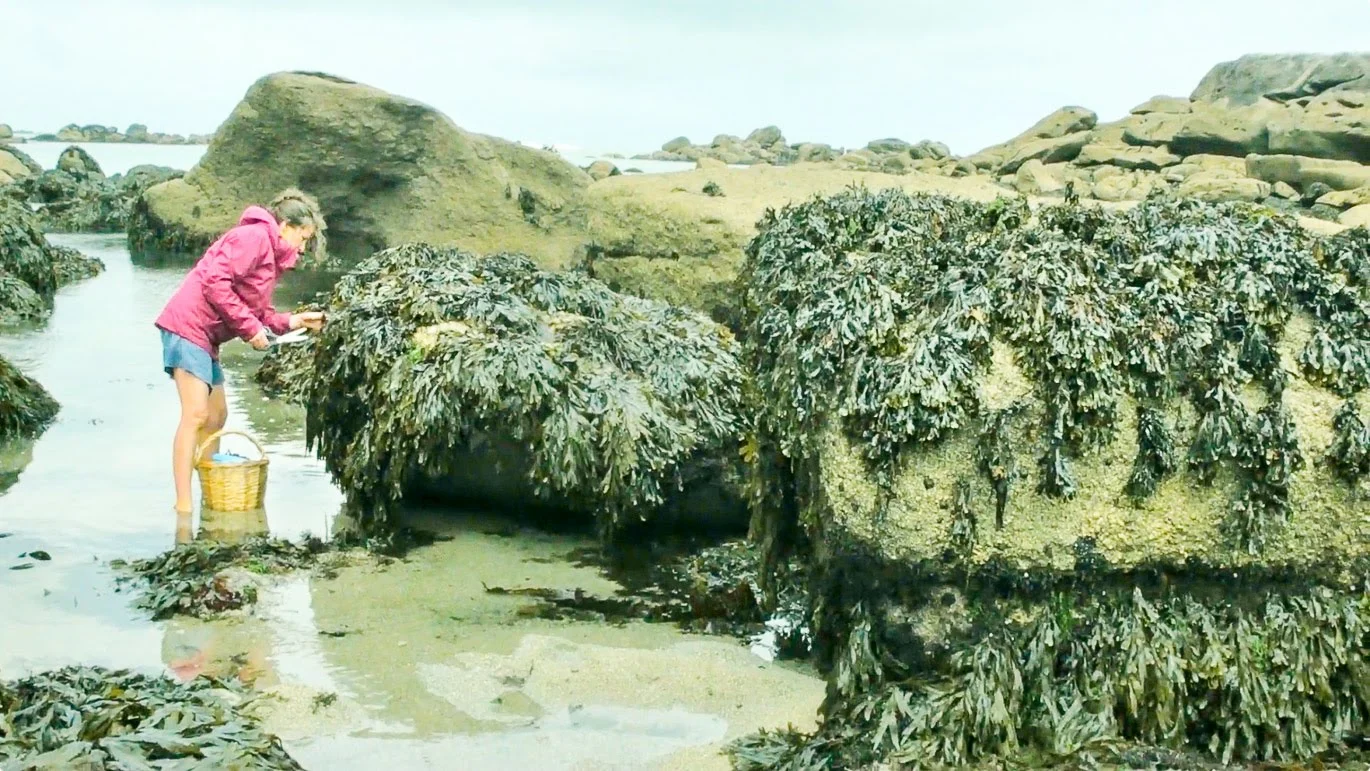 woman is foraging