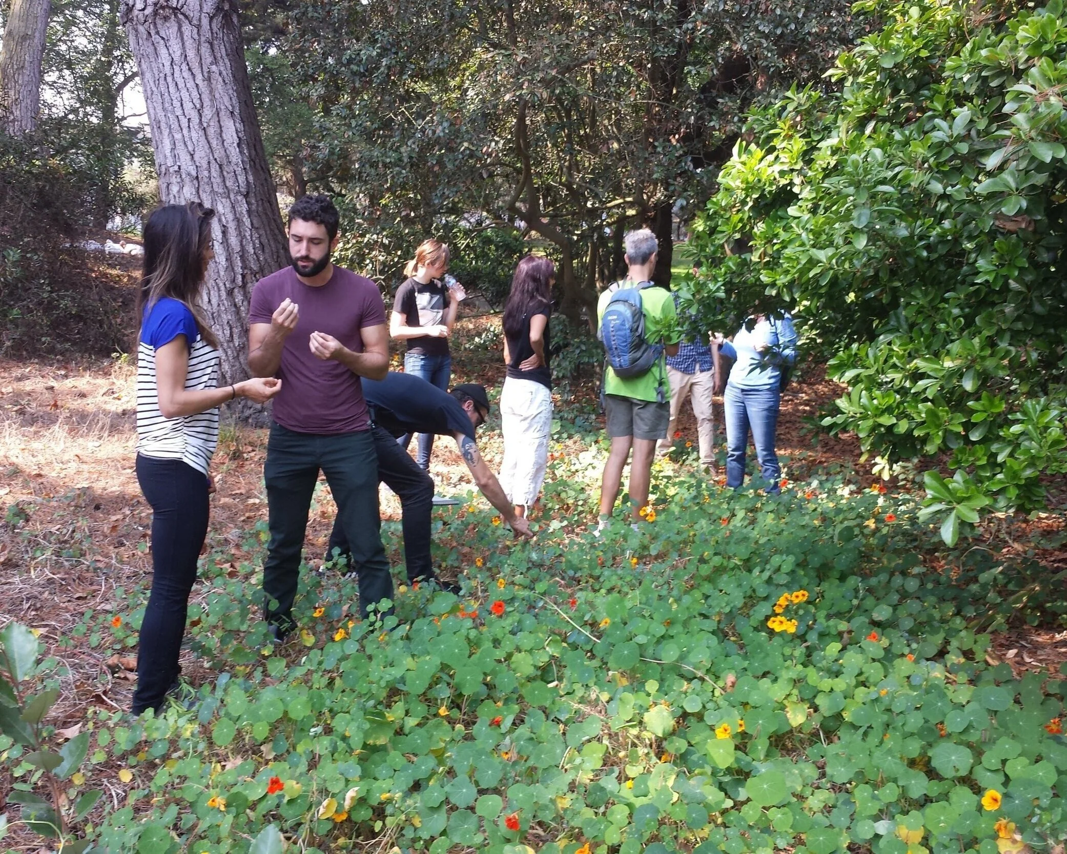 Plant Foraging