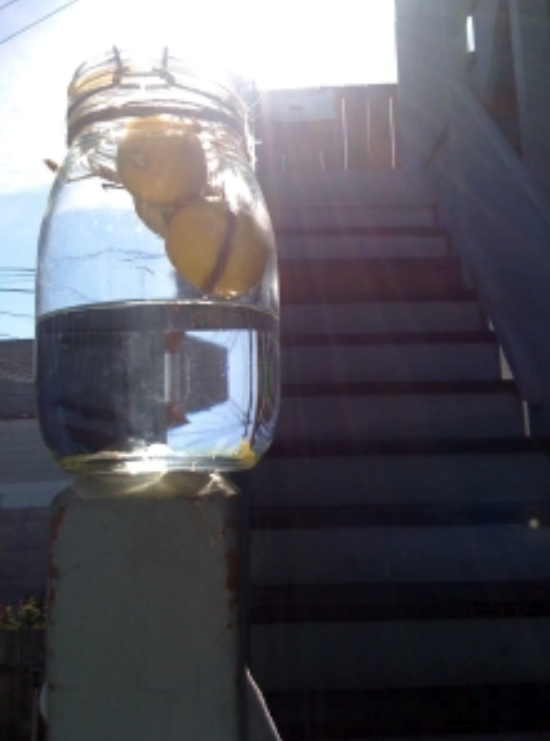 Limoncello Extravaganza!