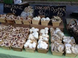 Farmers Markets — Sparta Mushrooms