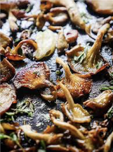 Fried Oyster mushroom