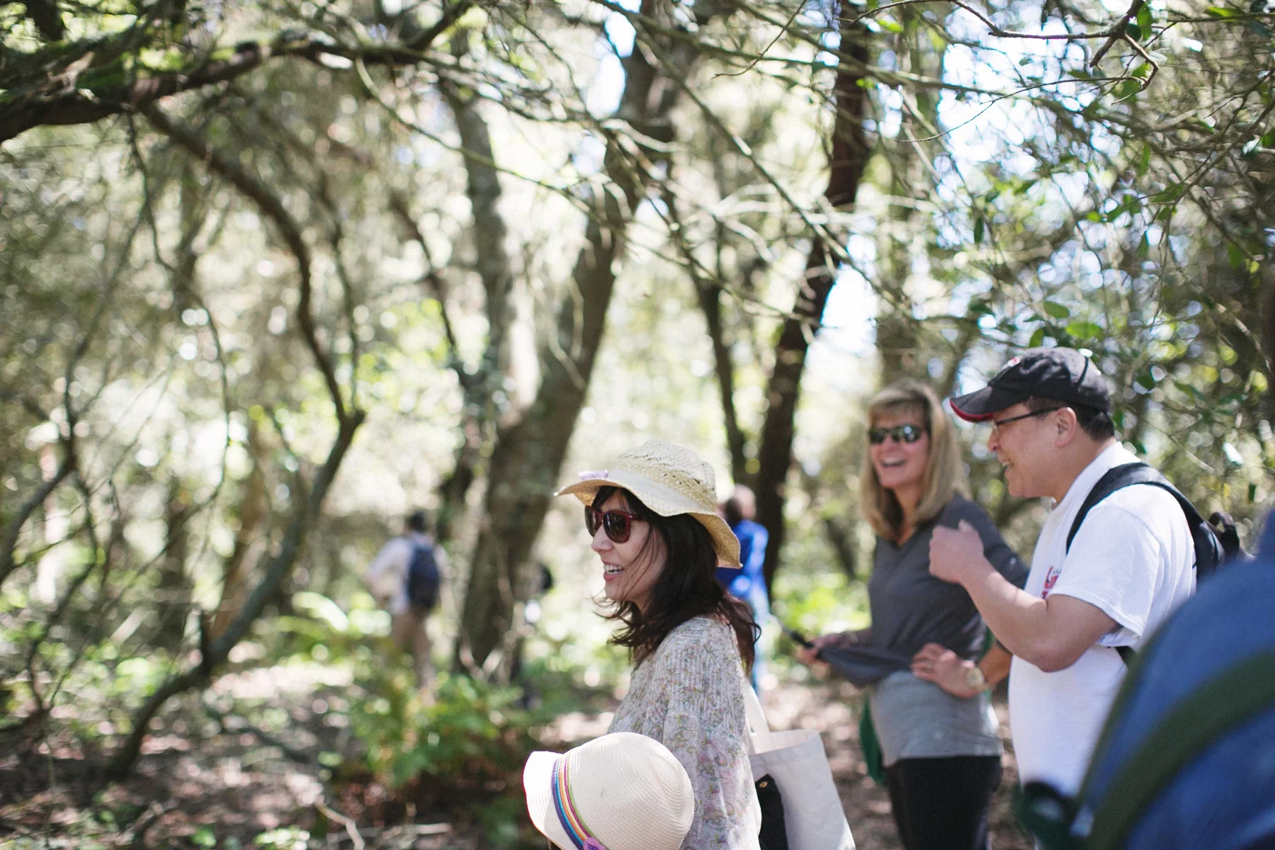 forageSF wild plant class gathered around a Bay Area tree